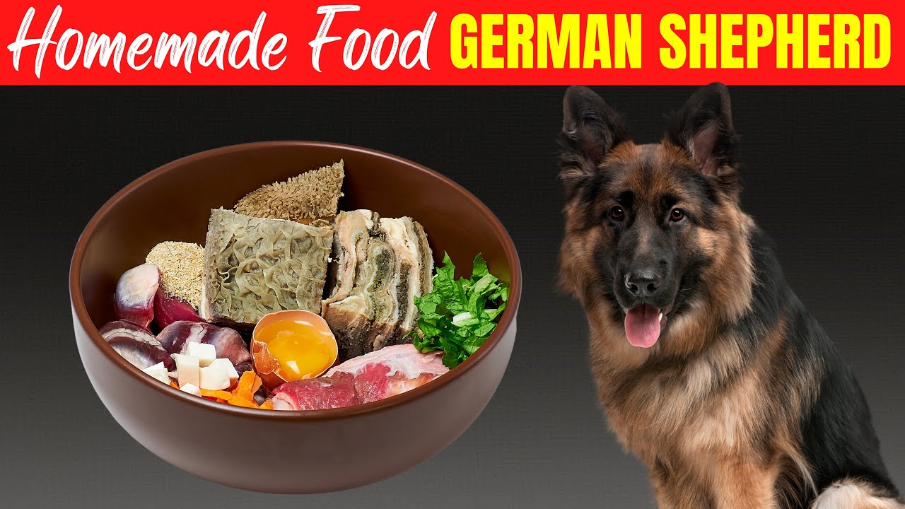 Best Weight Loss Dog Food For German Shepherd In 2023